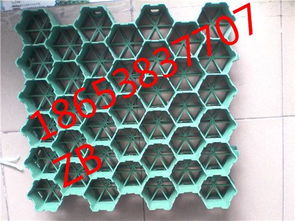 濟寧塑料植草格廠家推薦及產品圖片展示
